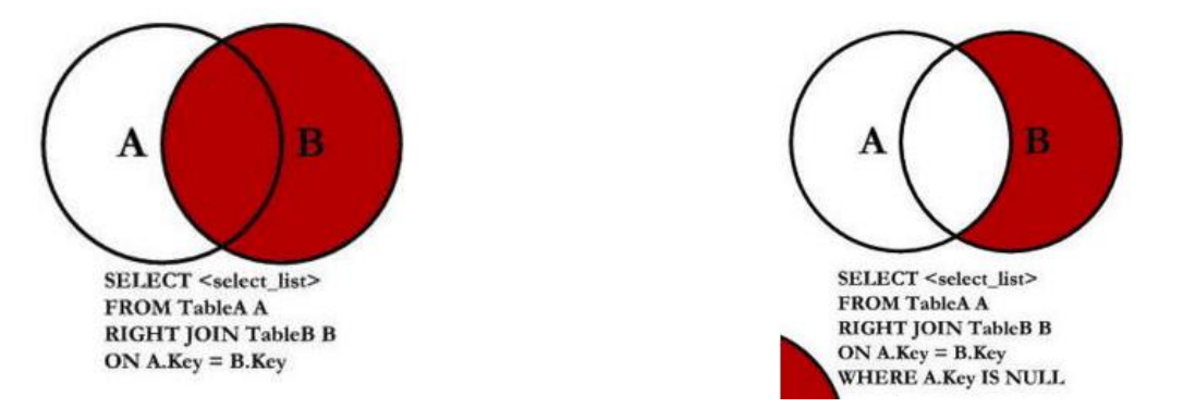 image-20240720152337997