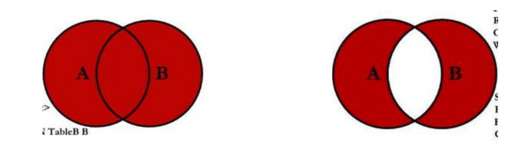 image-20240720152623708