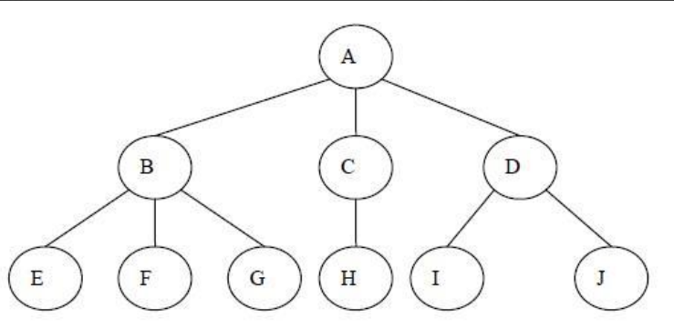 image-20240825025044868