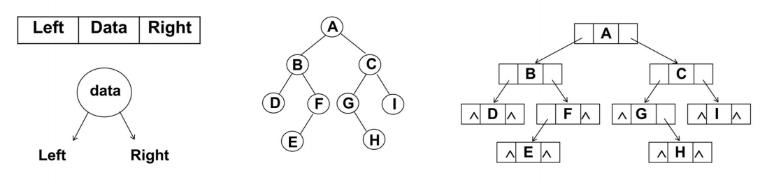 image-20240825110738321